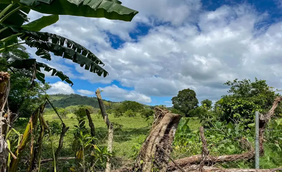 Terreno plano de 1,89 acres con casa en Renacimiento , RENACIMIENTO, RIO SERENO, CHIRIQUI, Chiriqui, 26116