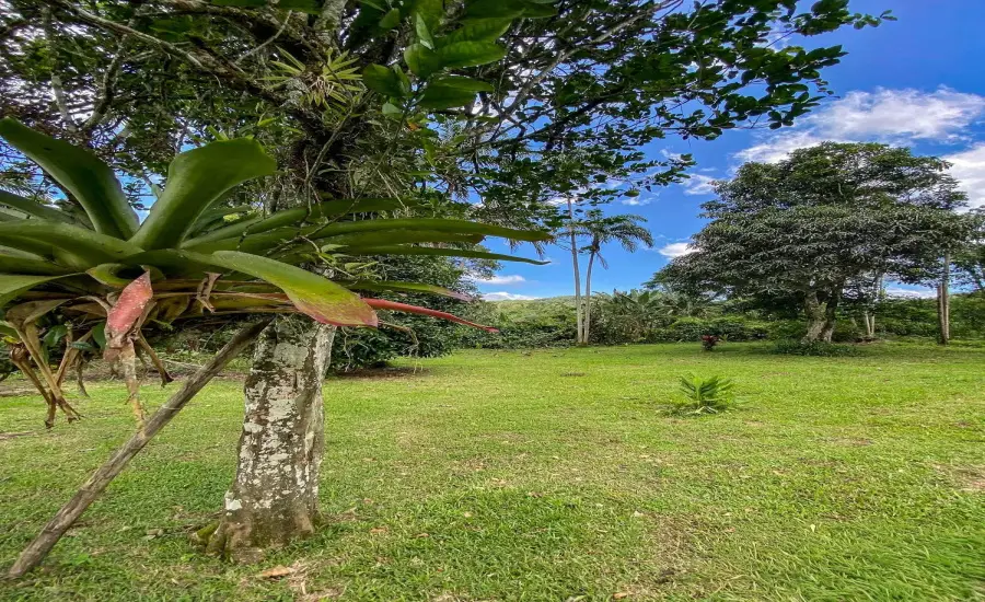 Terreno plano de 1,89 acres con casa en Renacimiento , RENACIMIENTO, RIO SERENO, CHIRIQUI, Chiriqui, 26116