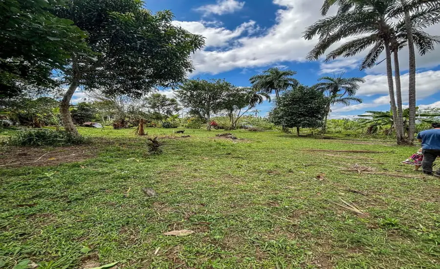 Terreno plano de 1,89 acres con casa en Renacimiento , RENACIMIENTO, RIO SERENO, CHIRIQUI, Chiriqui, 26116