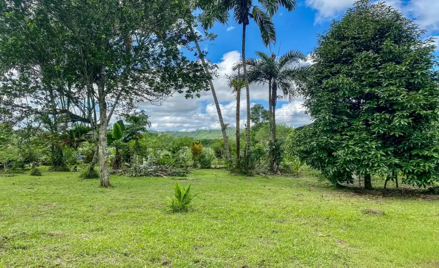 Terreno plano de 1,89 acres con casa en Renacimiento , RENACIMIENTO, RIO SERENO, CHIRIQUI, Chiriqui, 26116