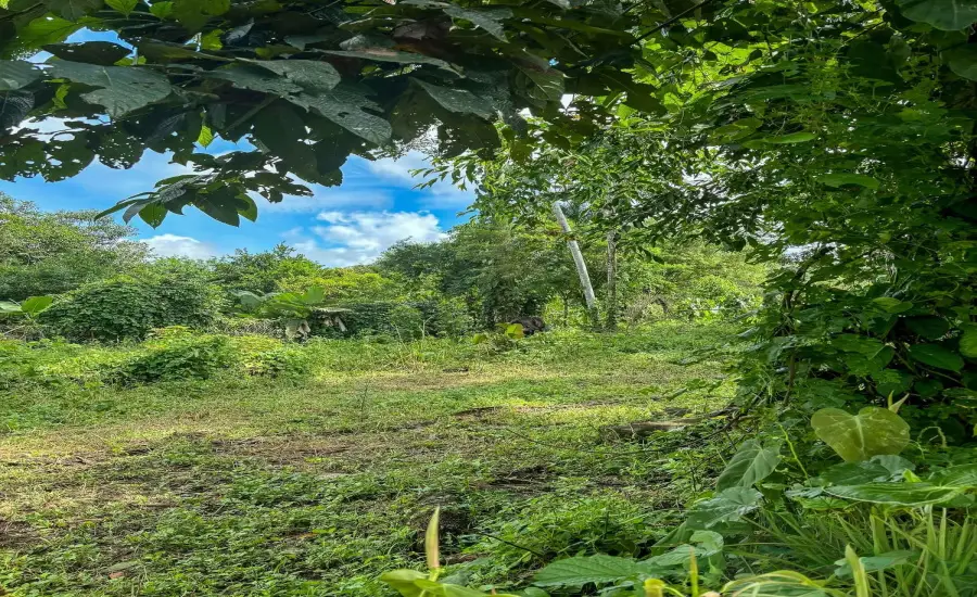 Terreno plano de 1,89 acres con casa en Renacimiento , RENACIMIENTO, RIO SERENO, CHIRIQUI, Chiriqui, 26116