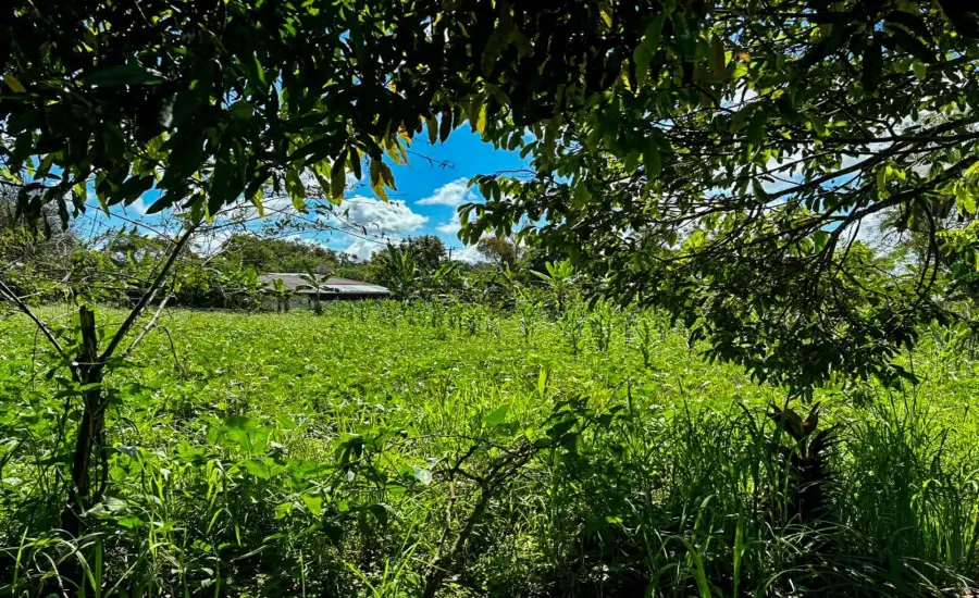 Terreno plano de 1,89 acres con casa en Renacimiento , RENACIMIENTO, RIO SERENO, CHIRIQUI, Chiriqui, 26116