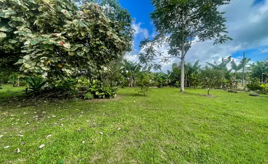 Terreno plano de 1,89 acres con casa en Renacimiento , RENACIMIENTO, RIO SERENO, CHIRIQUI, Chiriqui, 26116