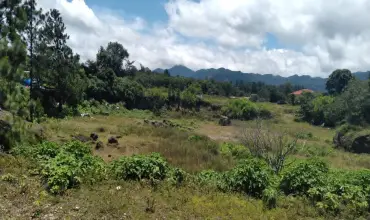VENTA TERRENO EN VOLCANCITO CHIRIQUI , VOLCANCITO, BOQUETE, CHIRIQUI, Chiriqui, 26118