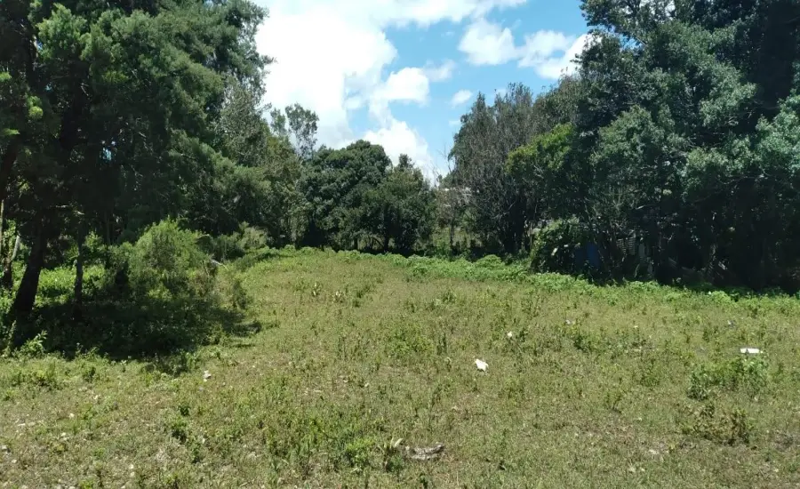 VENTA TERRENO EN VOLCANCITO CHIRIQUI , VOLCANCITO, BOQUETE, CHIRIQUI, Chiriqui, 26118
