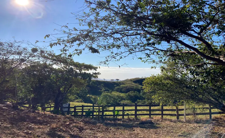 Finca ganadera o refugio privado con cafe y agua de nacimiento , CALDERA, Chiriqui, 26120