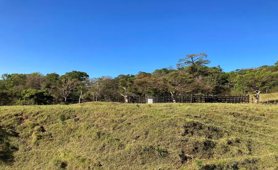 Finca ganadera o refugio privado con cafe y agua de nacimiento , CALDERA, Chiriqui, 26120