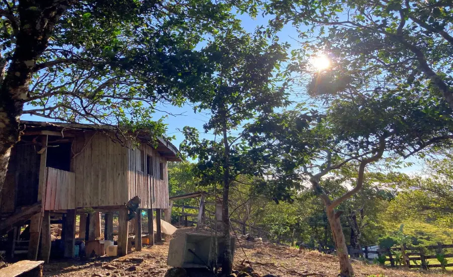 Finca ganadera o refugio privado con cafe y agua de nacimiento , CALDERA, Chiriqui, 26120