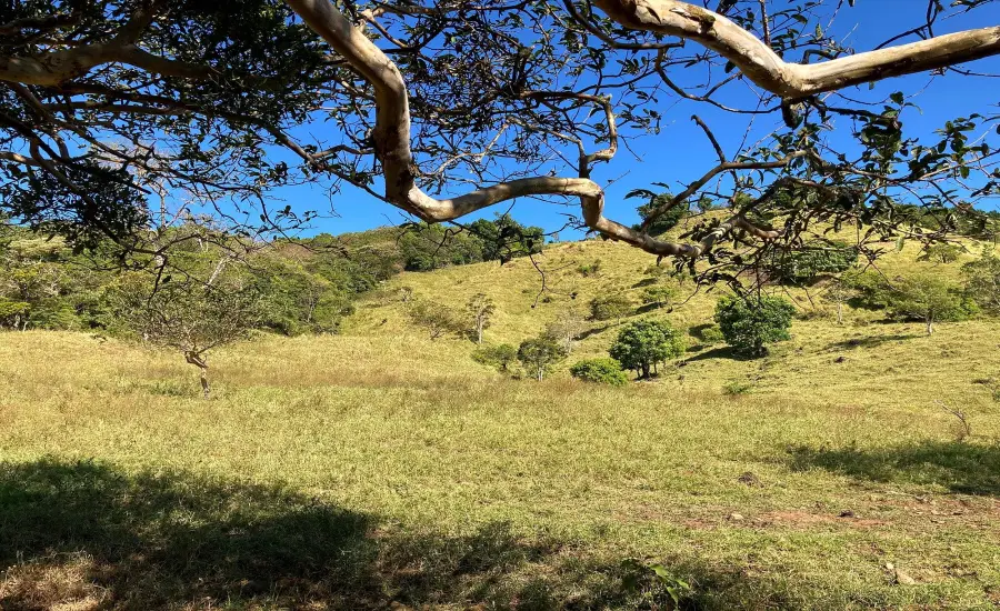 Finca ganadera o refugio privado con cafe y agua de nacimiento , CALDERA, Chiriqui, 26120