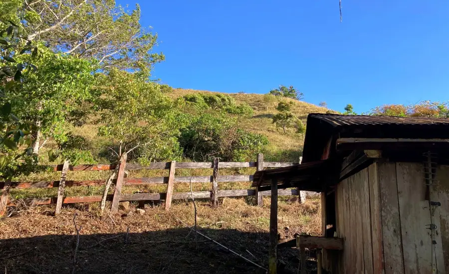 Finca ganadera o refugio privado con cafe y agua de nacimiento , CALDERA, Chiriqui, 26120