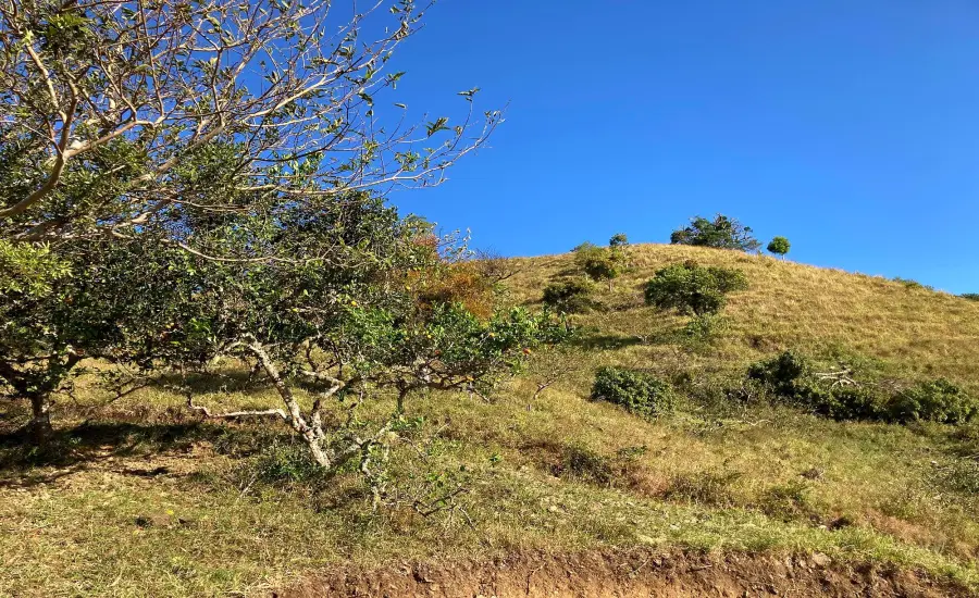Finca ganadera o refugio privado con cafe y agua de nacimiento , CALDERA, Chiriqui, 26120