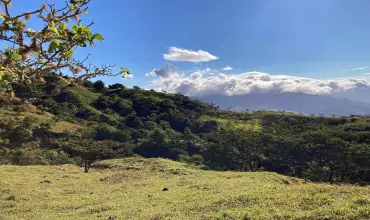 Finca ganadera o refugio privado con cafe y agua de nacimiento , CALDERA, Chiriqui, 26120