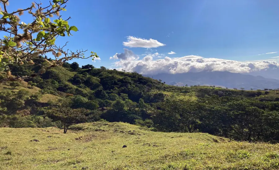 Finca ganadera o refugio privado con cafe y agua de nacimiento , CALDERA, Chiriqui, 26120