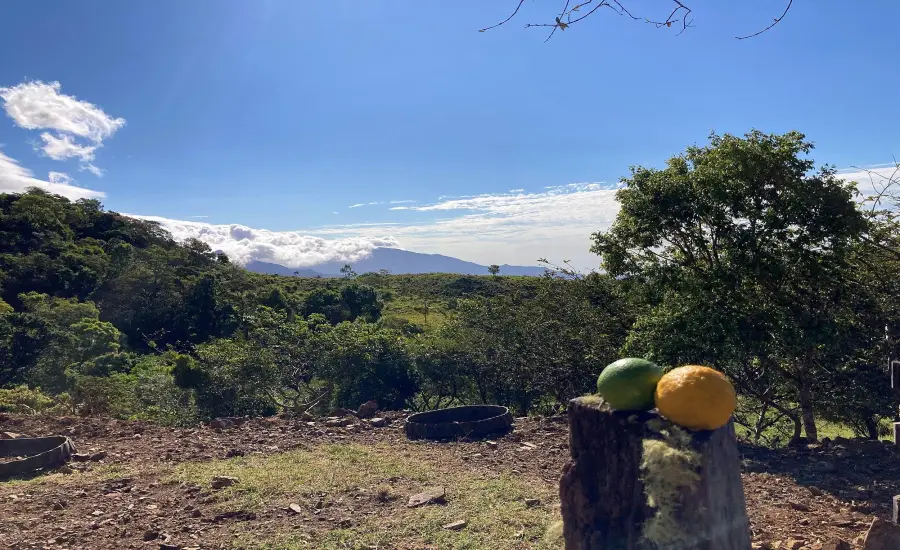 Finca ganadera o refugio privado con cafe y agua de nacimiento , CALDERA, Chiriqui, 26120
