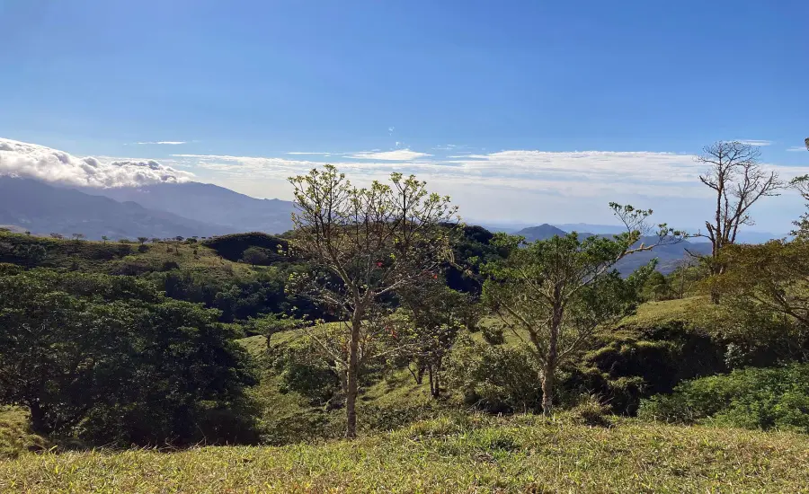 Finca ganadera o refugio privado con cafe y agua de nacimiento , CALDERA, Chiriqui, 26120