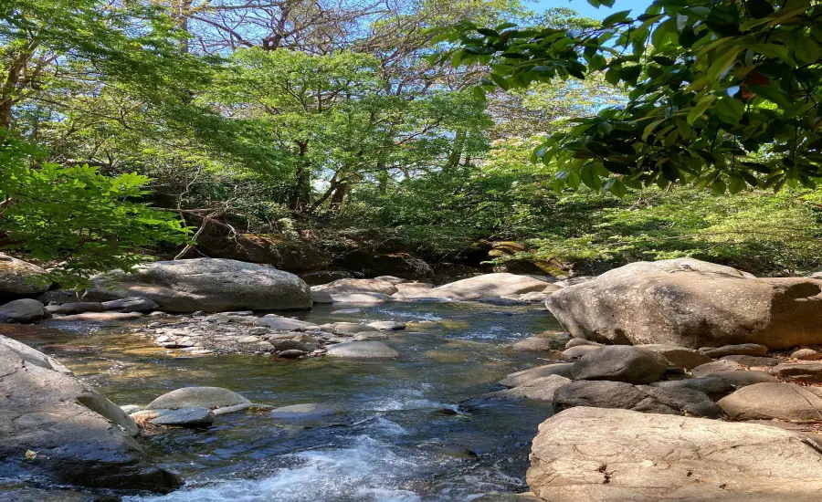 Finca ganadera o refugio privado con cafe y agua de nacimiento , CALDERA, Chiriqui, 26120