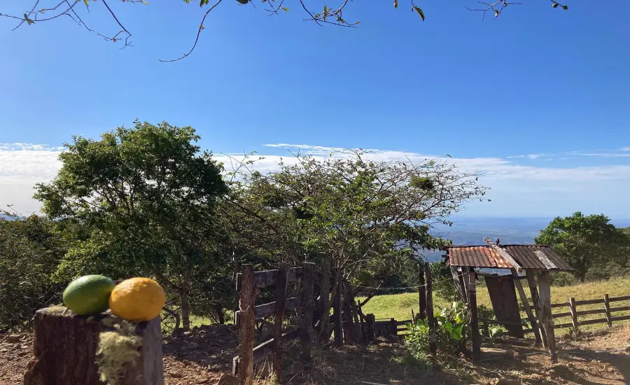 Finca ganadera o refugio privado con cafe y agua de nacimiento , CALDERA, Chiriqui, 26120