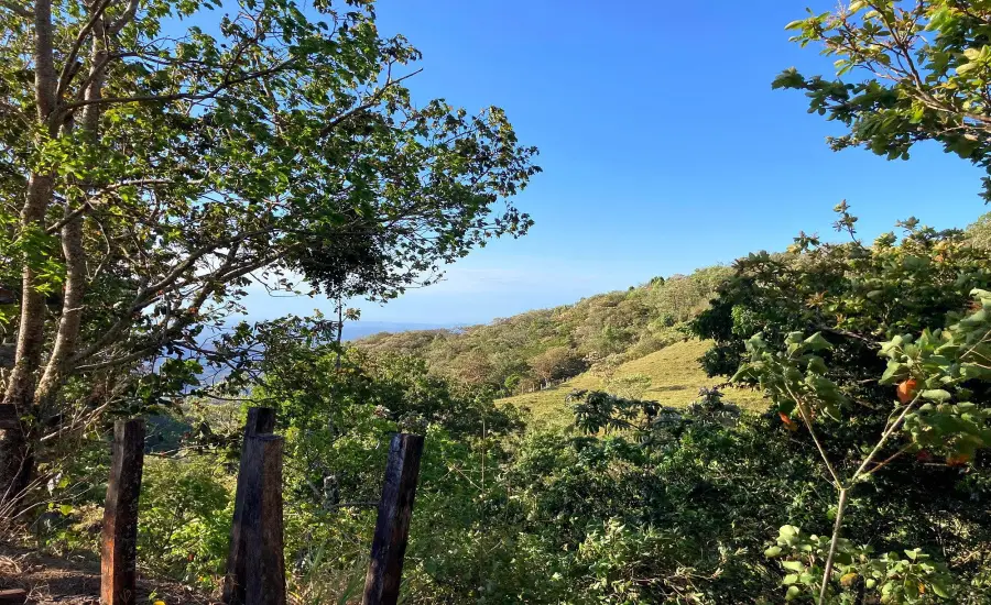 Finca ganadera o refugio privado con cafe y agua de nacimiento , CALDERA, Chiriqui, 26120